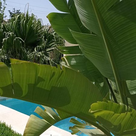 Ferienwohnung El Vaiven El Puerto de Santa María Exterior foto